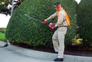 Maruyama H23FL Single Edge Hedge Long Blade Trimmer – Haney