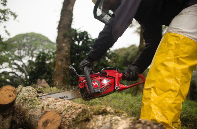 Maruyama MCV31R-14 Rear Handle Chainsaw – Haney Equipment Company